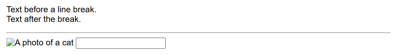 Rendered output: a line break, a horizontal divider, a broken-image icon showing its alt text because cat.jpg doesn't exist, and an empty text input box