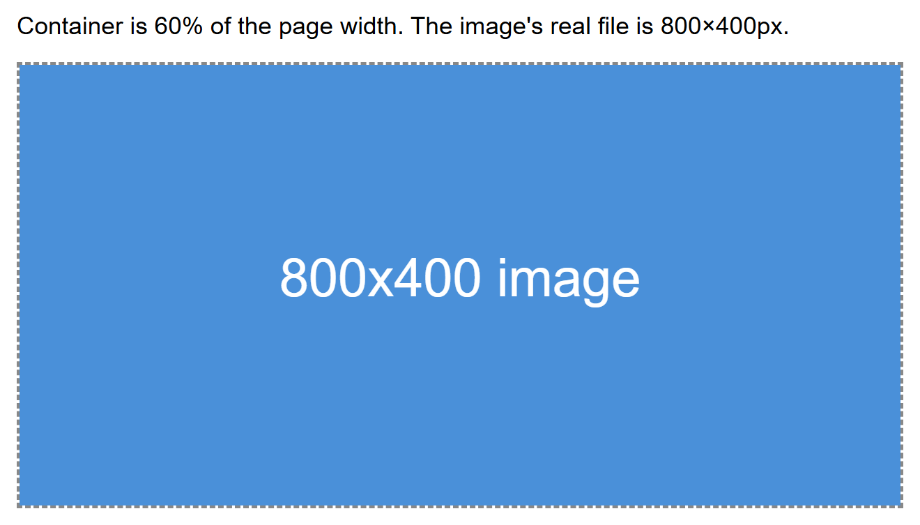 Rendered output: an 800 by 400 pixel placeholder image inside a dashed-border container that is 60% of the page width, at a wide desktop width where the image renders large